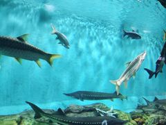 -太平洋海底世界