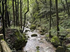 -牛背梁国家森林公园