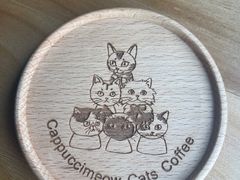 -Cappucimeow猫咪咖啡馆(韦伯时代店)