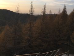 -苏木山森林公园