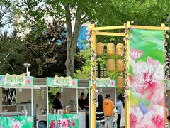 -西苑公园
