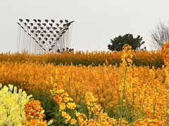 -三圣花乡旅游区
