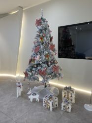 -VE专注问题肌·赛诺龙&科学美肤中心