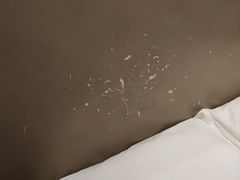 -廊坊固安福朋喜来登酒店