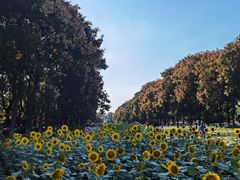 -玄武湖景区-情侣园游乐场