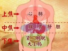 -裕和堂中医推拿艾灸(太古汇臻品店)