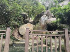-火炉山森林公园