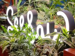 门面-Seesaw Coffee(朝阳大悦城店)