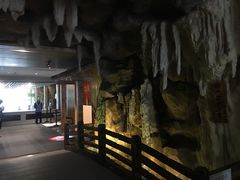 -御池园(顾村公园店)