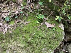 -陕西省红河谷森林公园