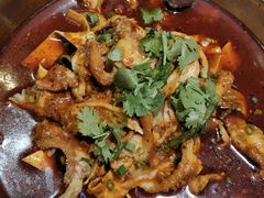 豆皮牛肚-鼎记酒楼(雁南一路店)