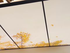 -京味斋·烤鸭·北京菜(安贞店)
