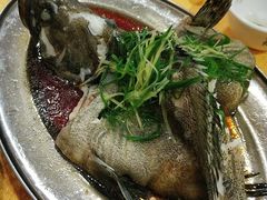 -蚝专家(北滘店)