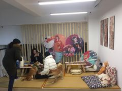 -柴迷FANS CLUB·柴犬狗咖·猫咖