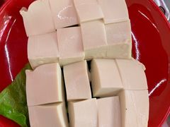 豆腐-蚝羊氣惠来羊肉火锅·高压锅生蚝