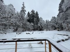 -海螺沟风景区