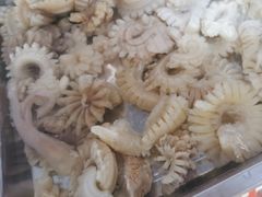 -金鼎雪山牦牛杂火锅(理县总店)