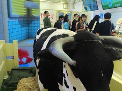 -红星前进面包牛奶公司(君太店)