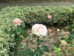 -苏州河梦清园环保主题公园