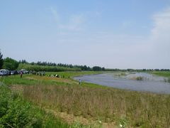 -蒲河岛湿地公园