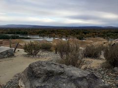 -煲来饱去冷水鱼