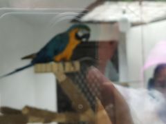-青藏高原野生动物园