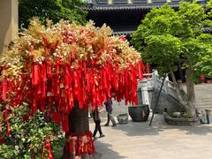 -灵谷景区