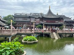 -绿波廊(豫园店)