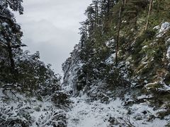-瓦屋山景区