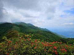 -大围山国家森林公园