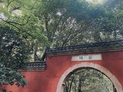 -灵谷景区
