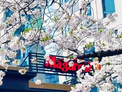-玛格萝妮比萨屋(四平店)