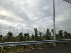 -怀托摩萤火虫洞