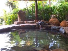 -厦门日月谷温泉渡假村