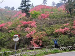 -木兰云雾山
