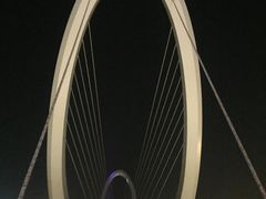 -南京眼步行桥