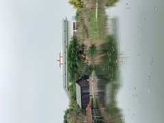 -五缘湾湿地公园