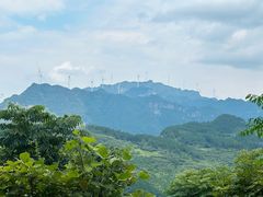 -重庆睡佛山森林公园
