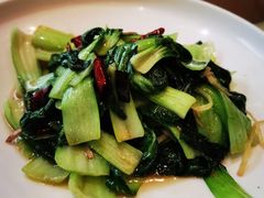 清炒小油菜-撒拉花儿·新疆菜·清真(太阳宫店)