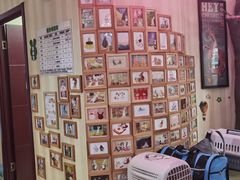 -宠物兔专门店(天丰利市场店)