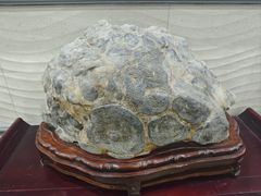 -游龙石文化科普馆