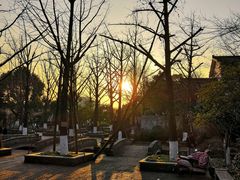 -杭州半山国家森林公园