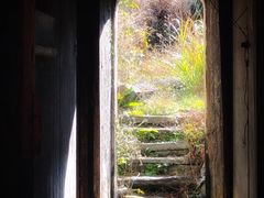 -石台牯牛降景区