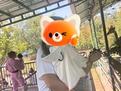 -秦皇岛野生动物园