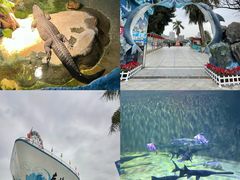 -左海海底世界