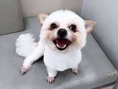-安安宠医宠物医院·异宠·犬猫内科(岳阳分院)