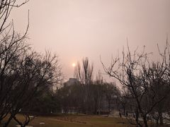 -丰台花园