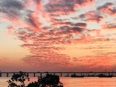 -宝安西湾红树林湿地公园