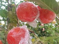 -比格比萨自助(新辰里学清路店)