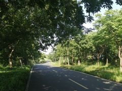 -同里国家湿地公园